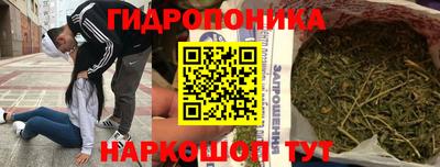 mix Новозыбков