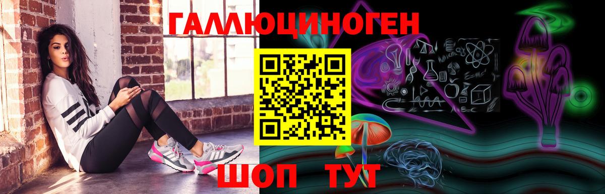 Сергиев Посад  Галлюциногенные грибы Psilocybe  Вход с VPN 